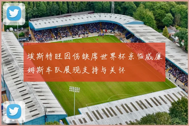 埃斯特旺因伤缺席世界杯亲临威廉姆斯车队展现支持与关怀