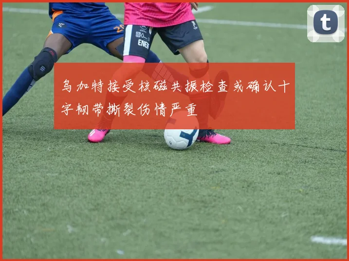 乌加特接受核磁共振检查或确认十字韧带撕裂伤情严重